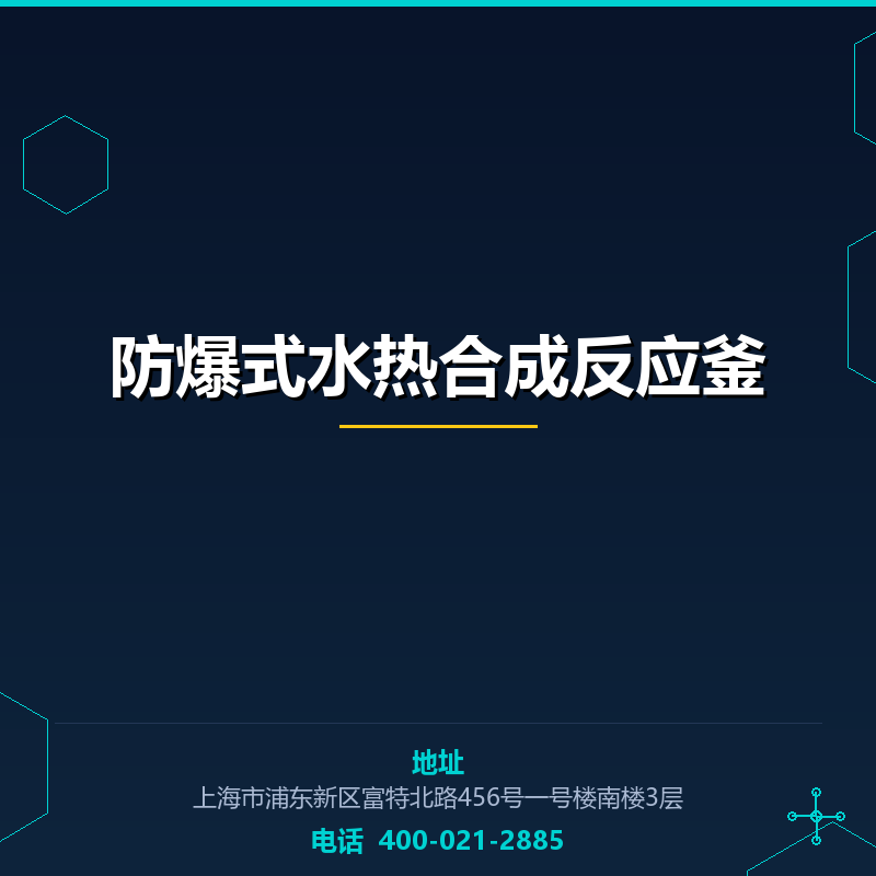 防爆式水热合成反应釜 None