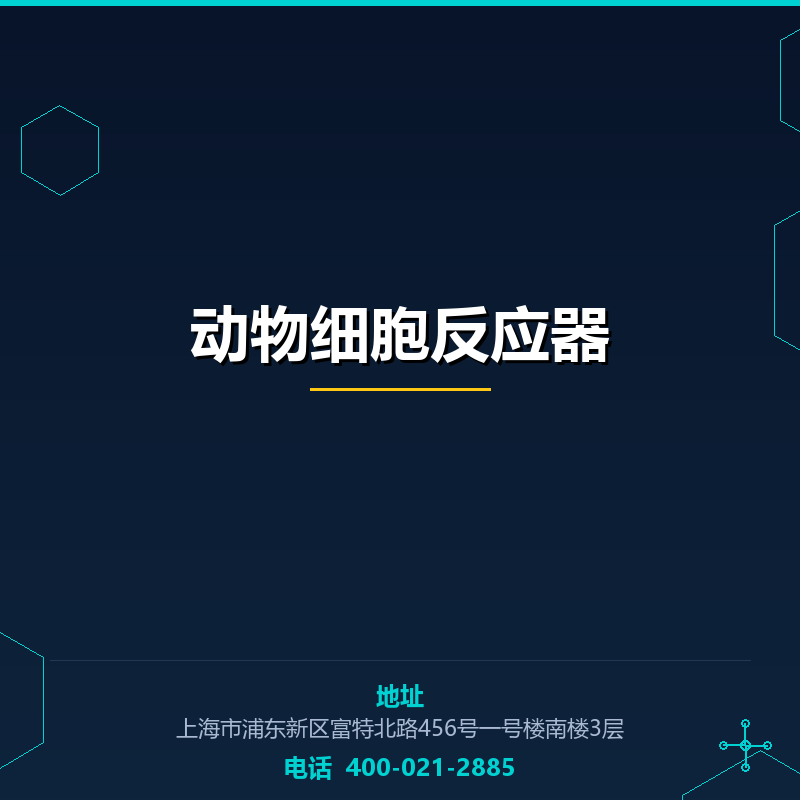动物细胞反应器 None