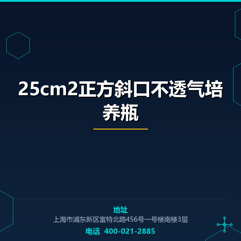 25cm2正方斜口不透气培养瓶 None