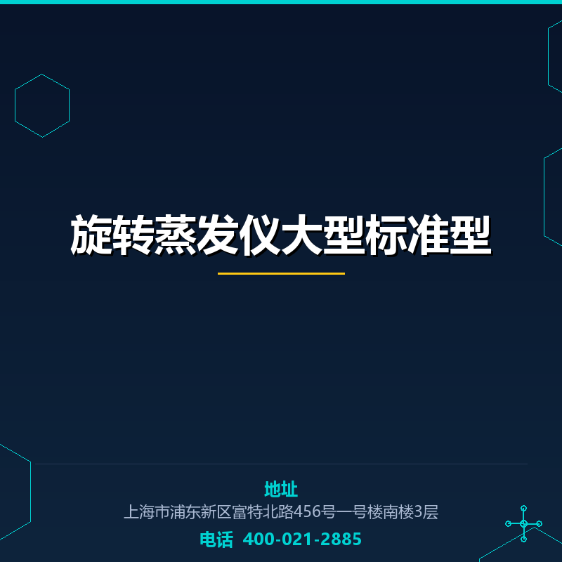 旋转蒸发仪大型标准型 None