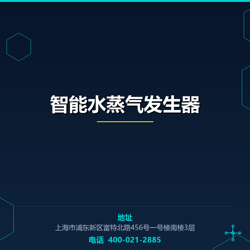 智能水蒸气发生器 None