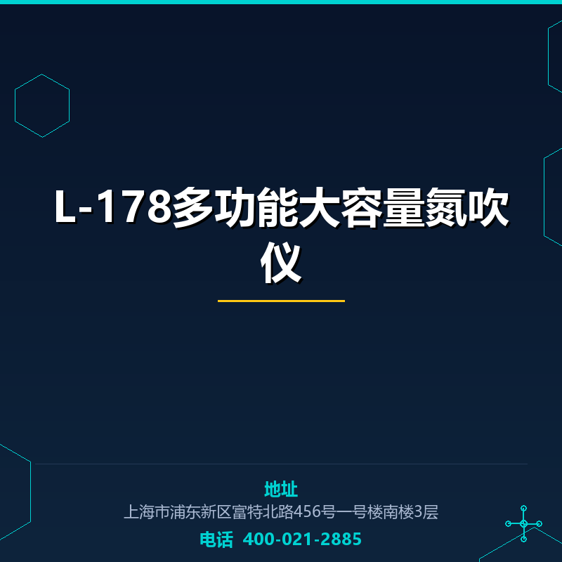 L-178多功能大容量氮吹仪 None