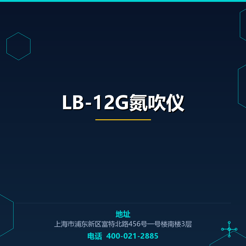 LB-12G氮吹仪 None