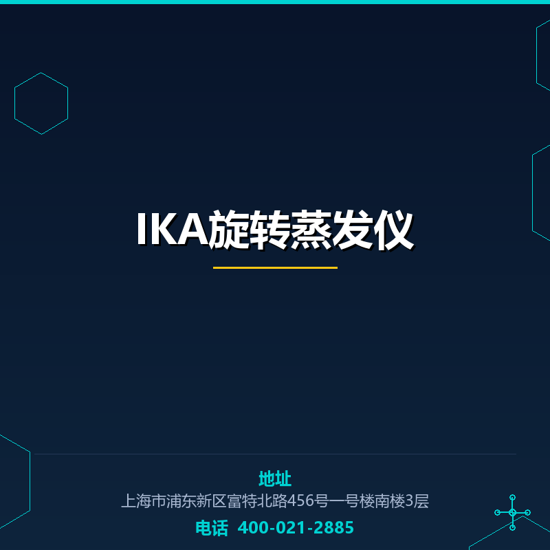 IKA旋转蒸发仪 None