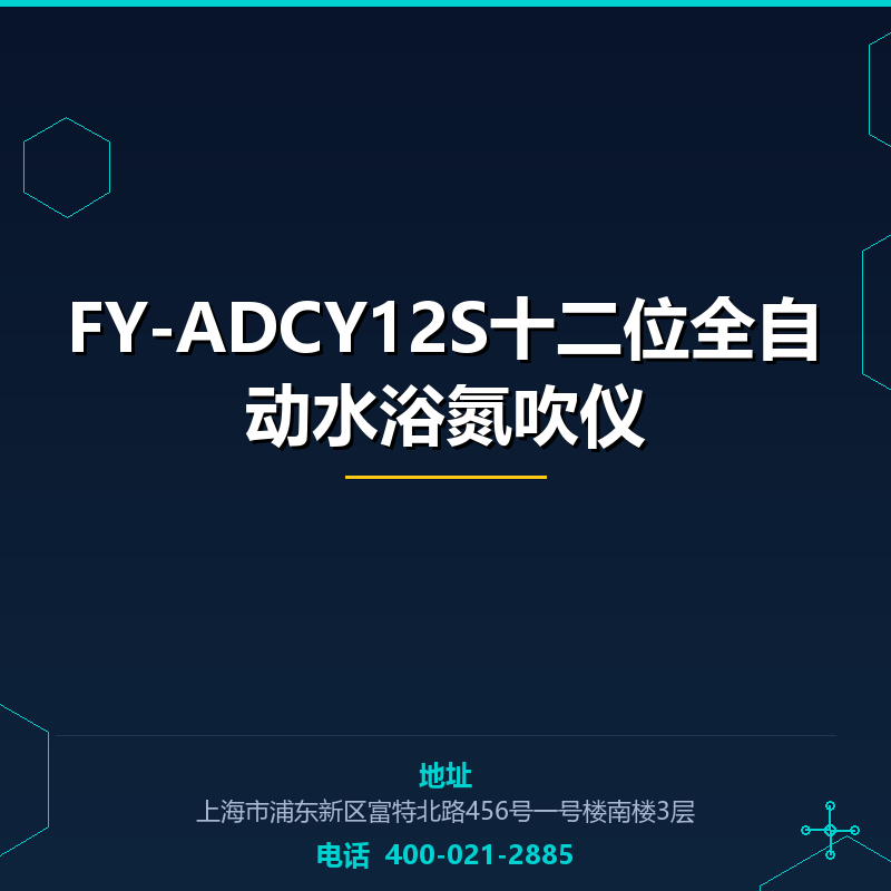 FY-ADCY12S十二位全自动水浴氮吹仪 None
