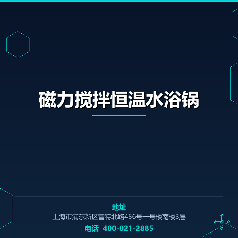 磁力搅拌恒温水浴锅 None