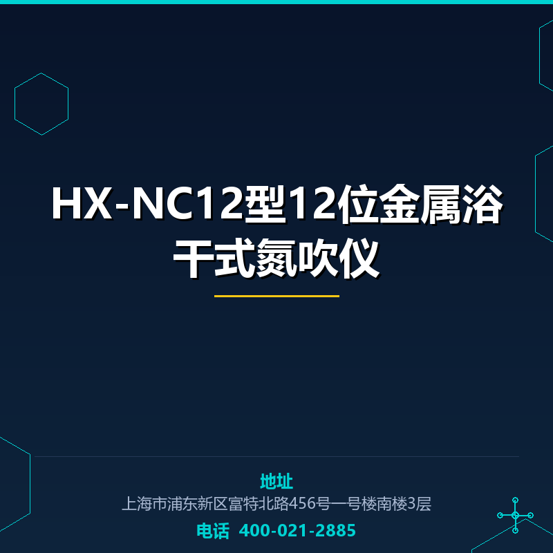 HX-NC12型12位金属浴干式氮吹仪 None