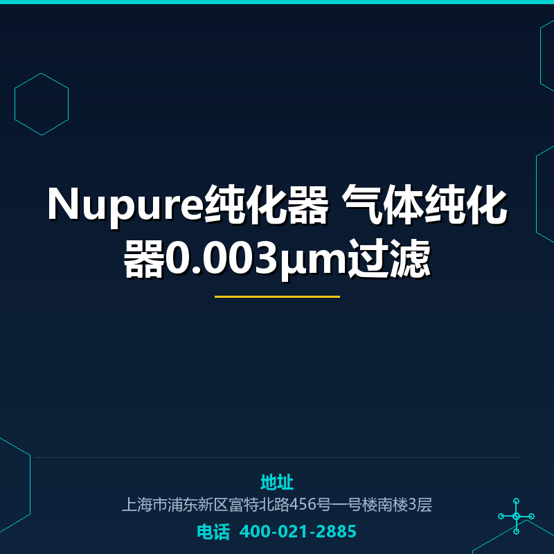 Nupure纯化器 气体纯化器0.003μm过滤 None