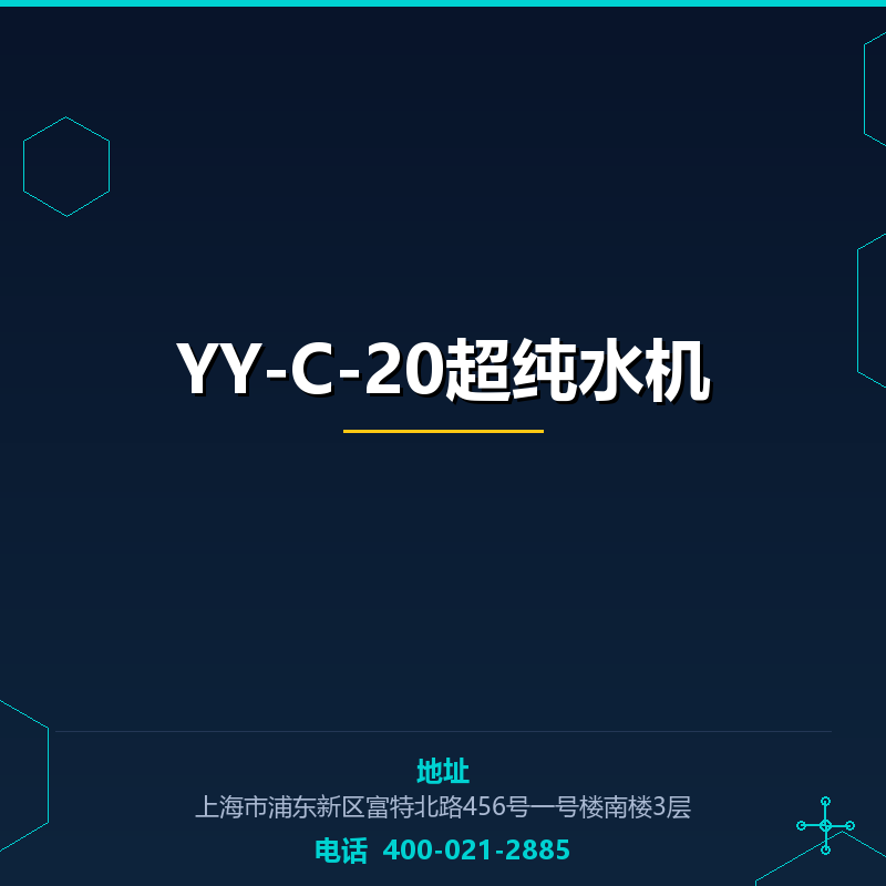 YY-C-20超纯水机 None