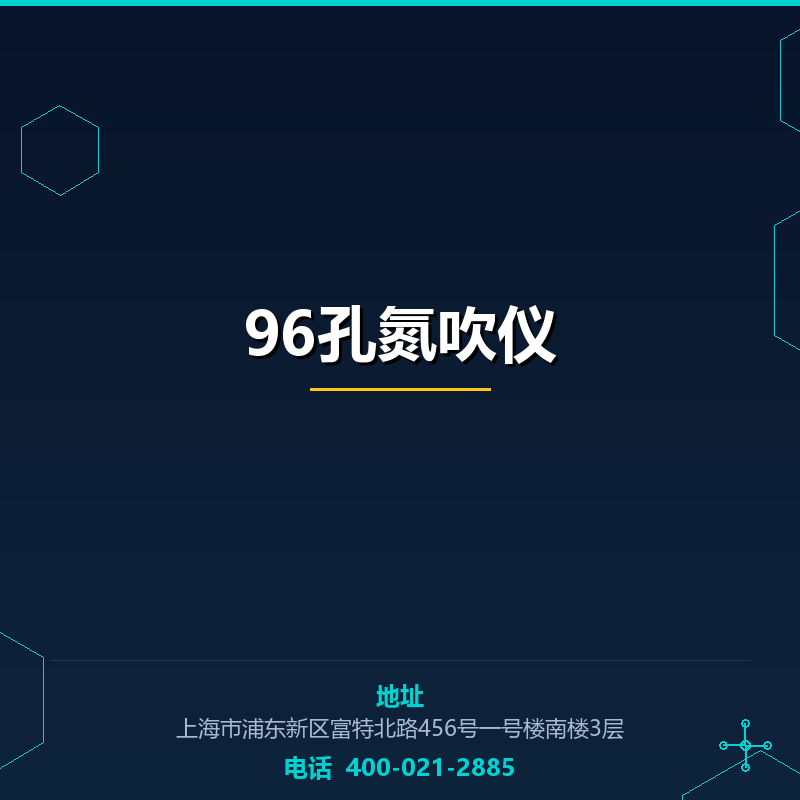 96孔氮吹仪 None