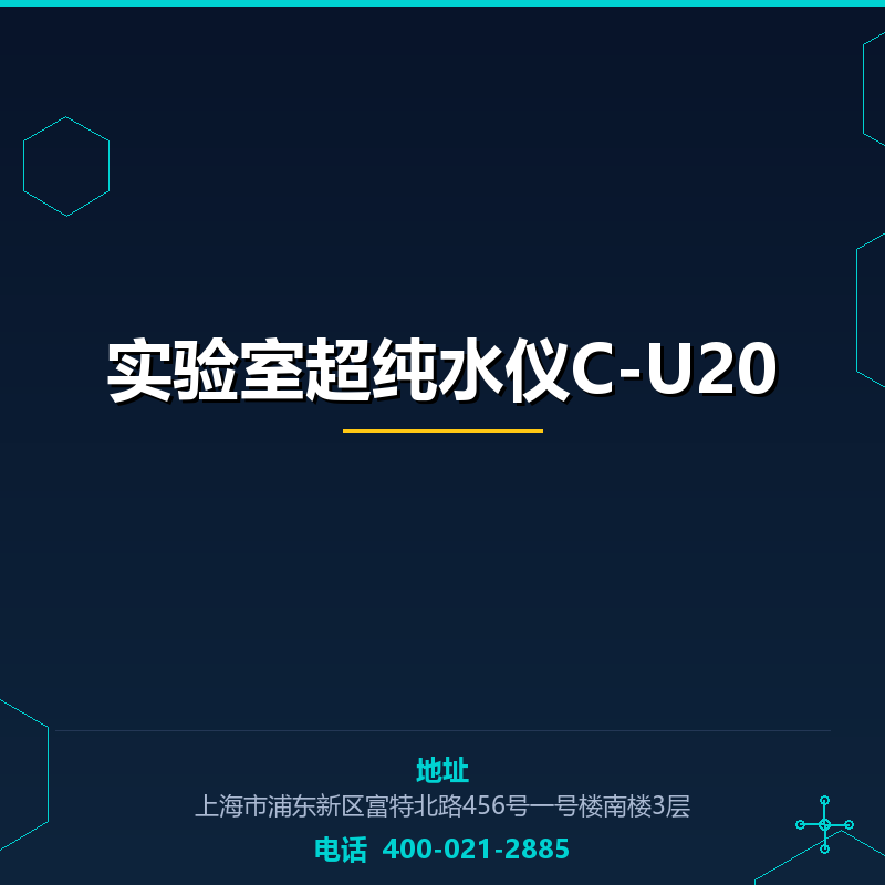 实验室超纯水仪C-U20 None