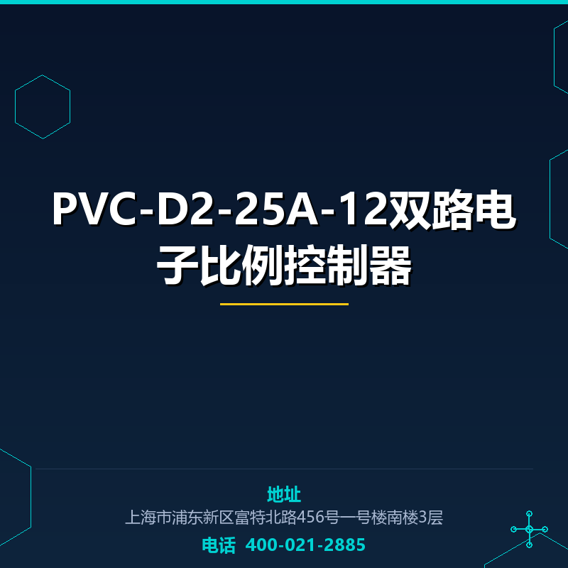 PVC-D2-25A-12双路电子比例控制器 None