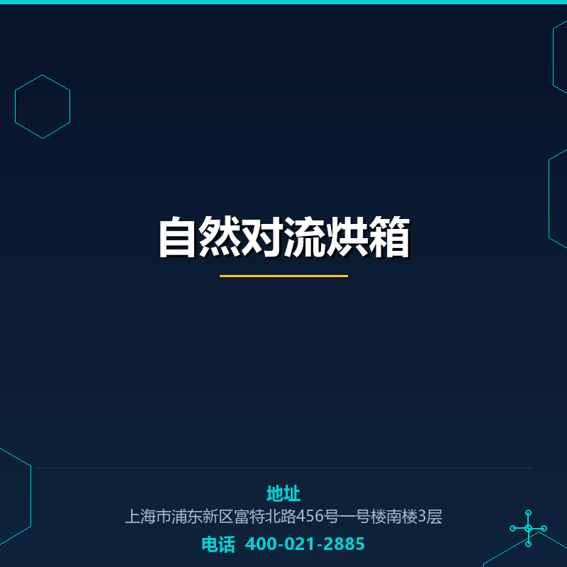 自然对流烘箱 None