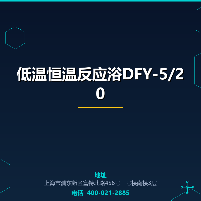低温恒温反应浴DFY-5/20 None