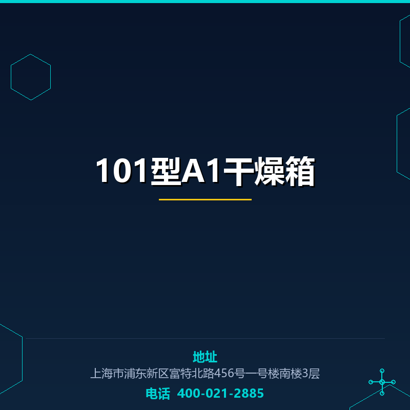 101型A1干燥箱 None