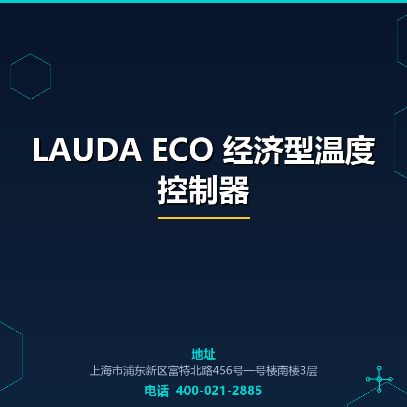 LAUDA ECO 经济型温度控制器 None