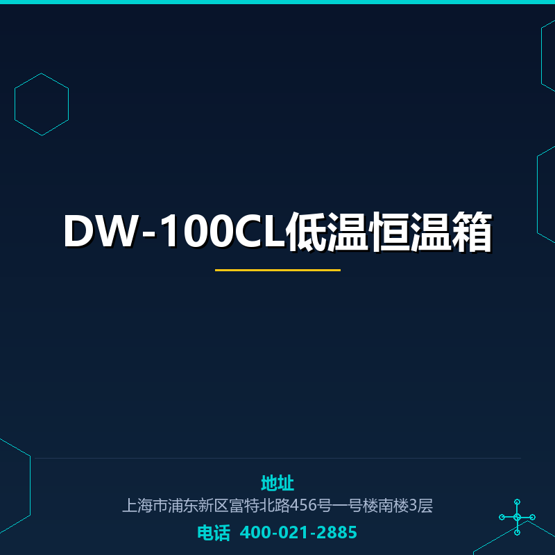 DW-100CL低温恒温箱 None