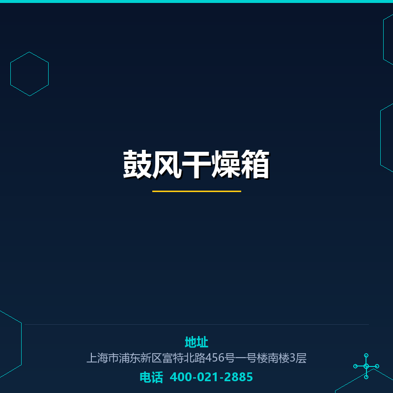鼓风干燥箱 None