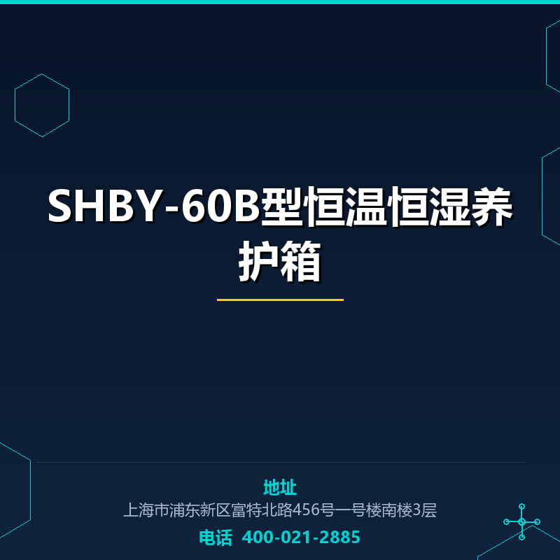 SHBY-60B型恒温恒湿养护箱（全不锈钢） None
