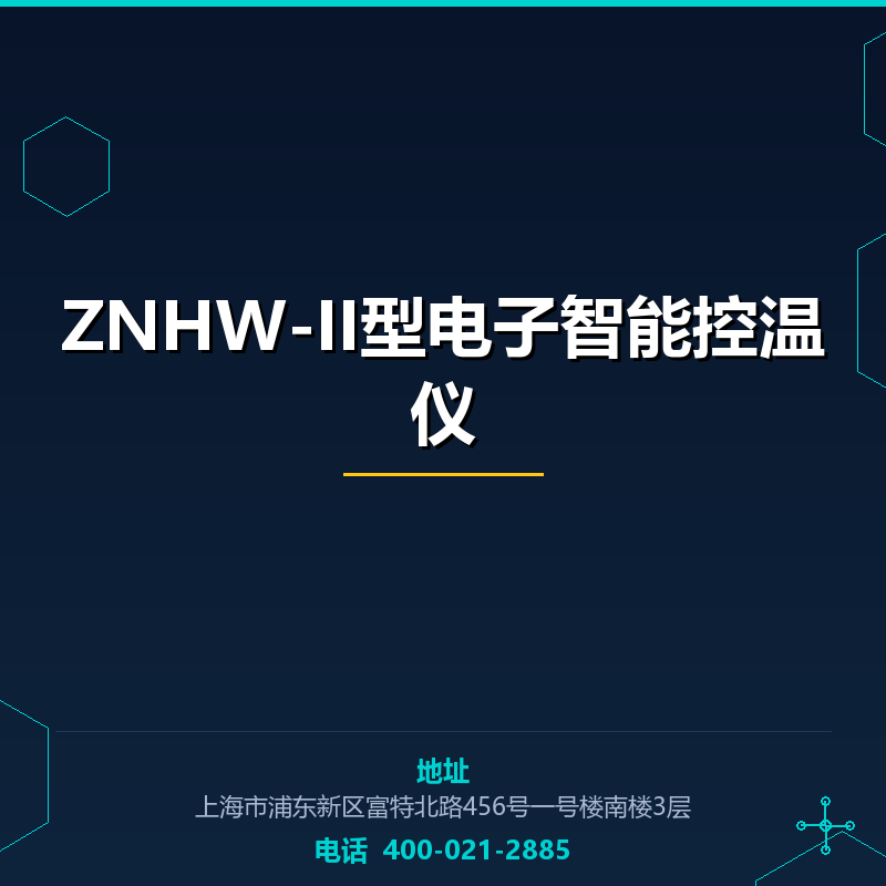 ZNHW-II型电子智能控温仪 None