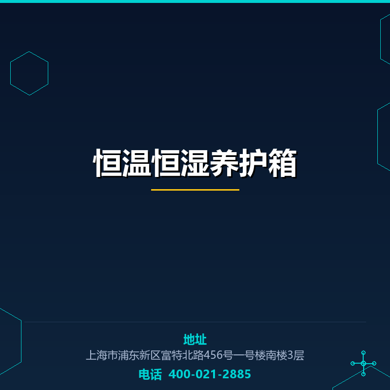 恒温恒湿养护箱 None