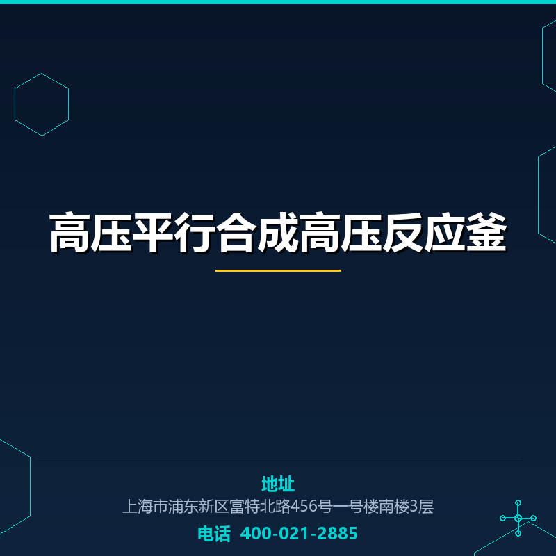 高压平行合成高压反应釜 None