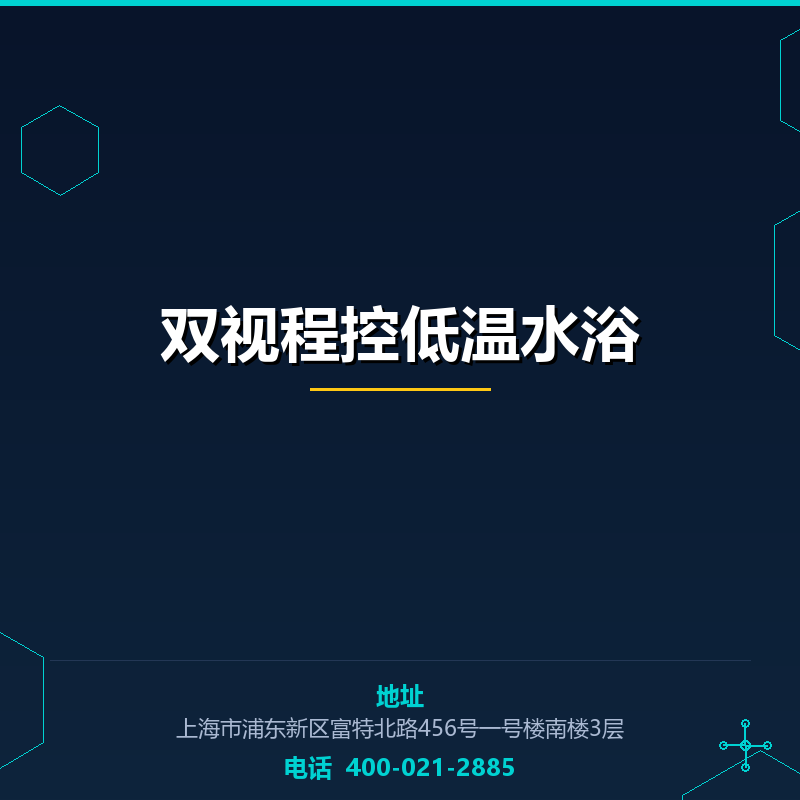 双视程控低温水浴 None
