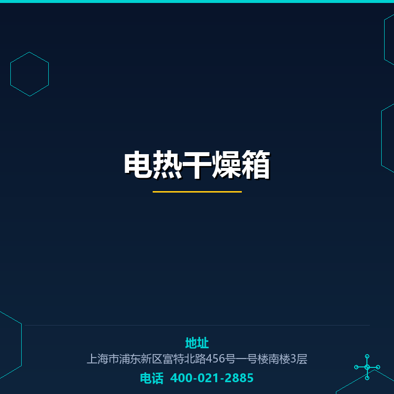 电热干燥箱 None