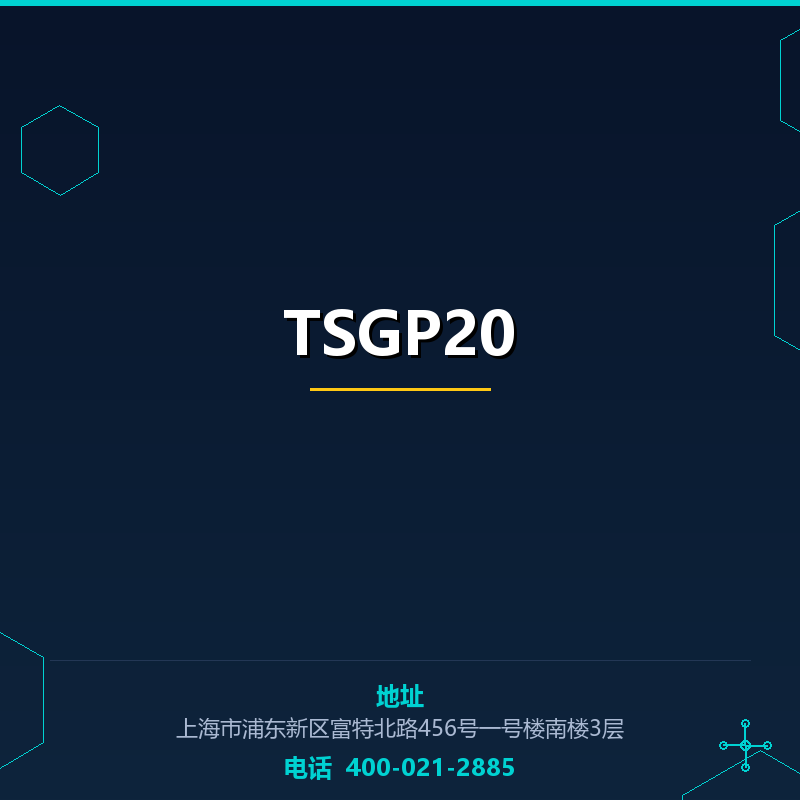 TSGP20 None