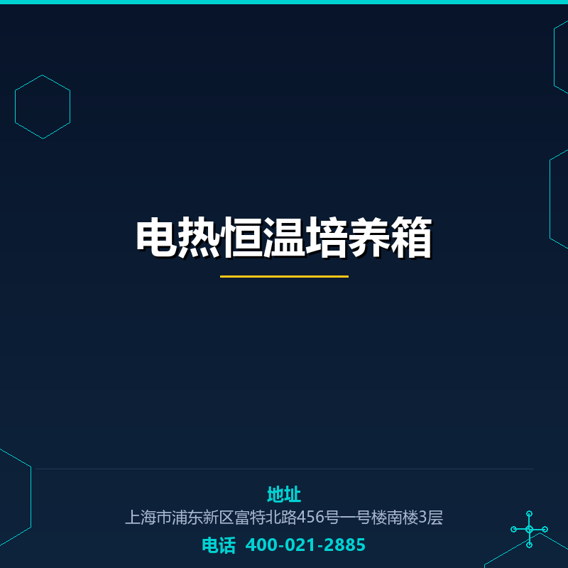 电热恒温培养箱 None