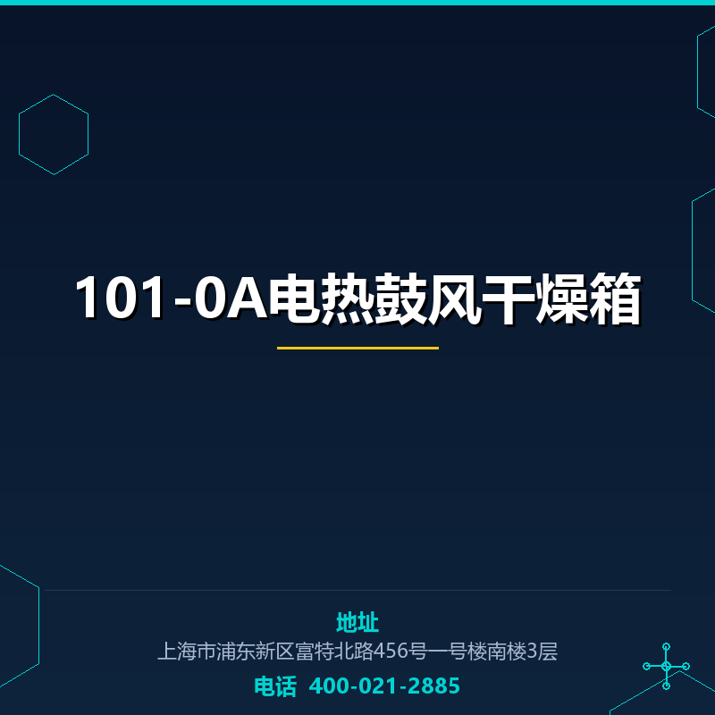 101-0A电热鼓风干燥箱 None