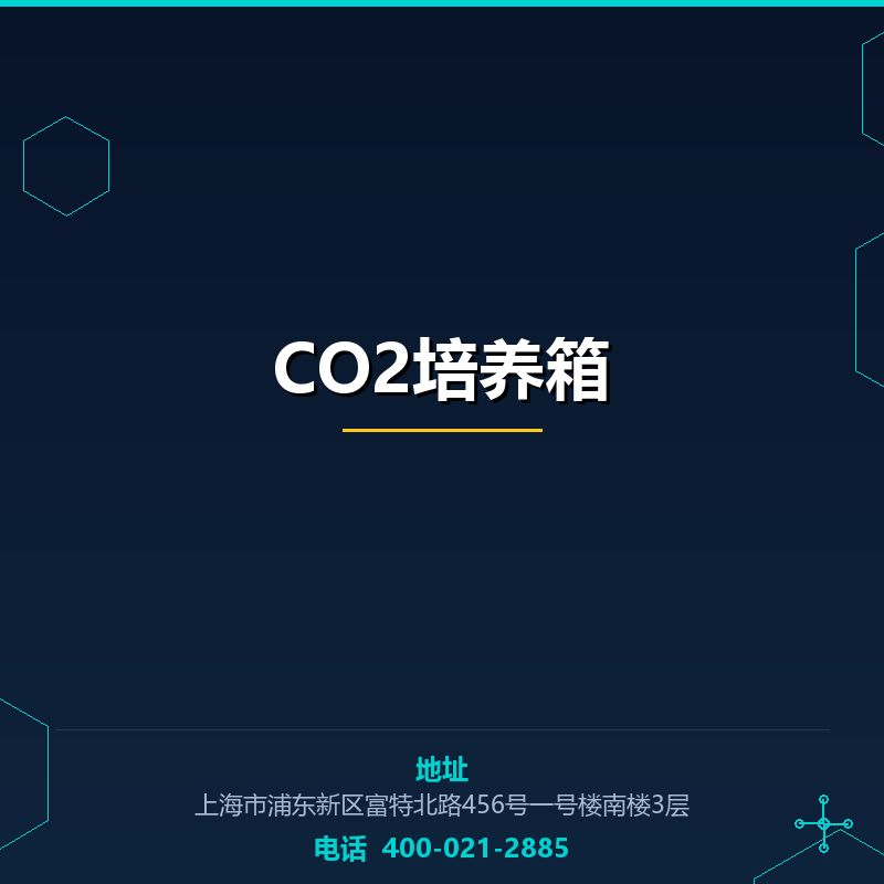 CO2培养箱 None