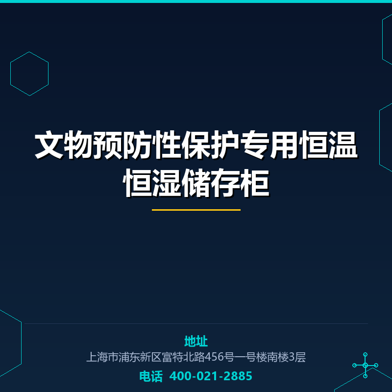 文物预防性保护专用恒温恒湿储存柜 None