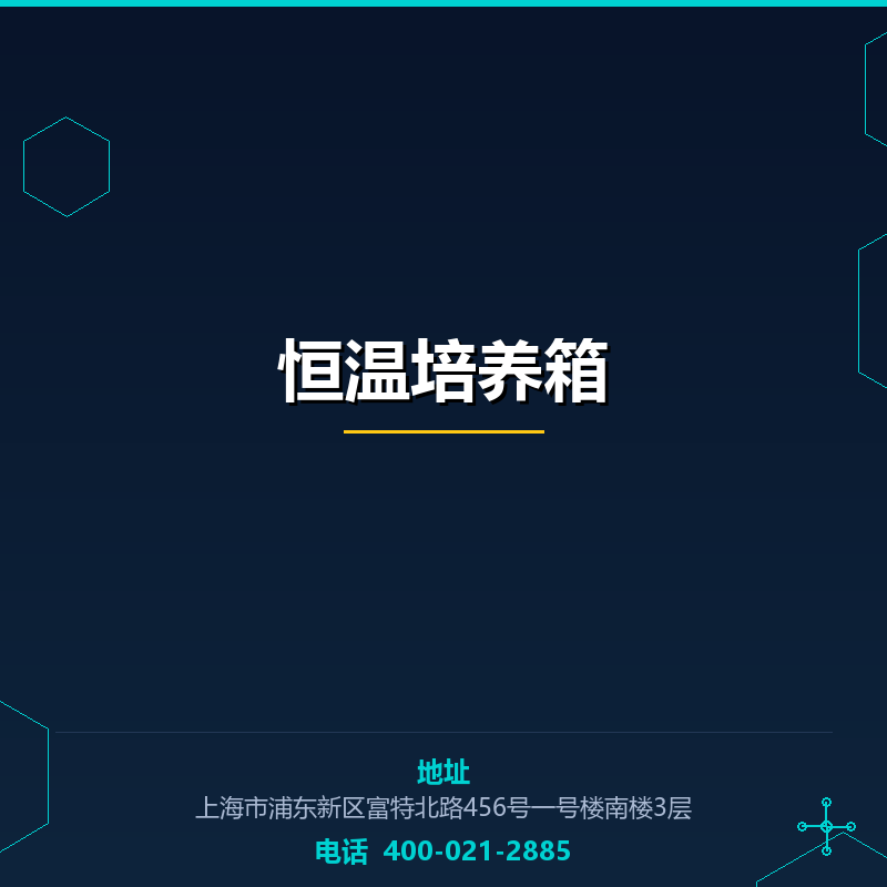 恒温培养箱 None