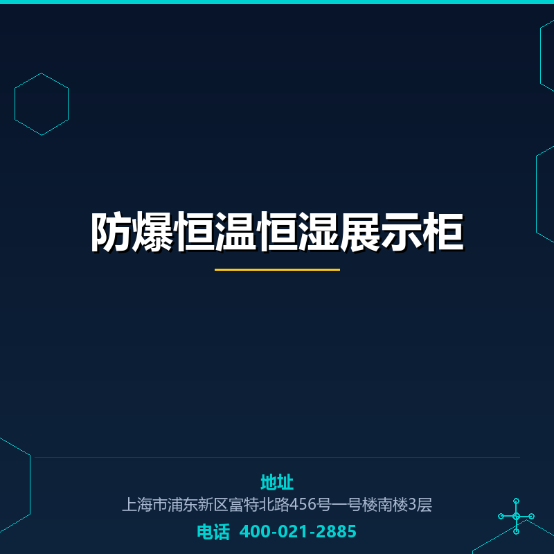 防爆恒温恒湿展示柜 None