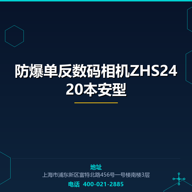 防爆单反数码相机ZHS2420本安型 None