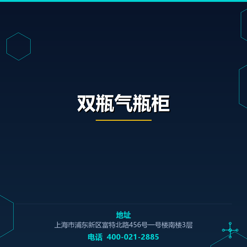双瓶气瓶柜 None