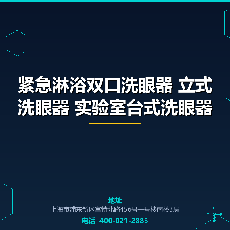 紧急淋浴双口洗眼器 立式洗眼器 实验室台式洗眼器 None