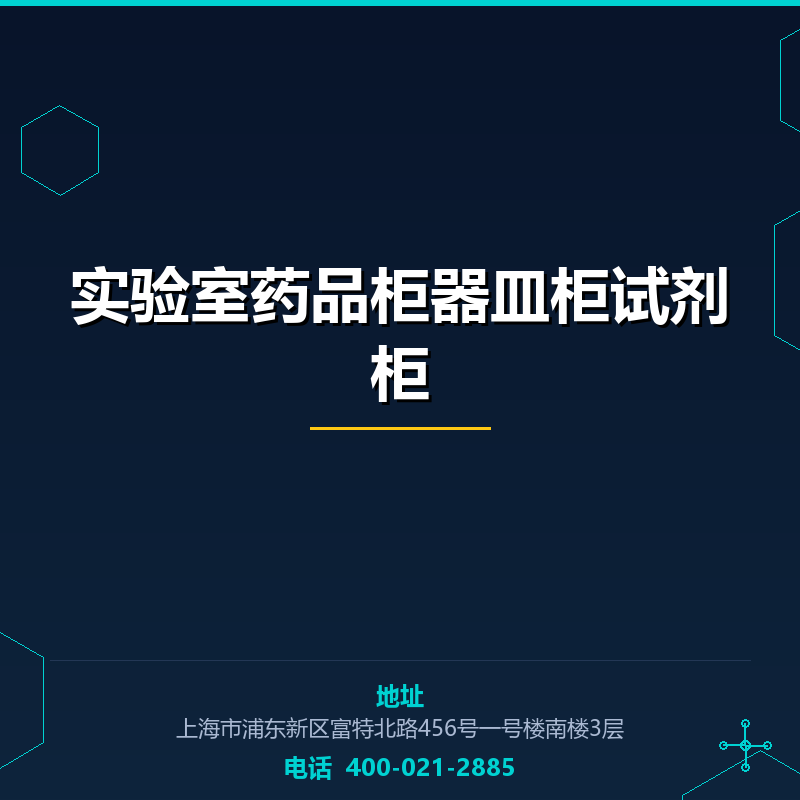 实验室药品柜器皿柜试剂柜 None
