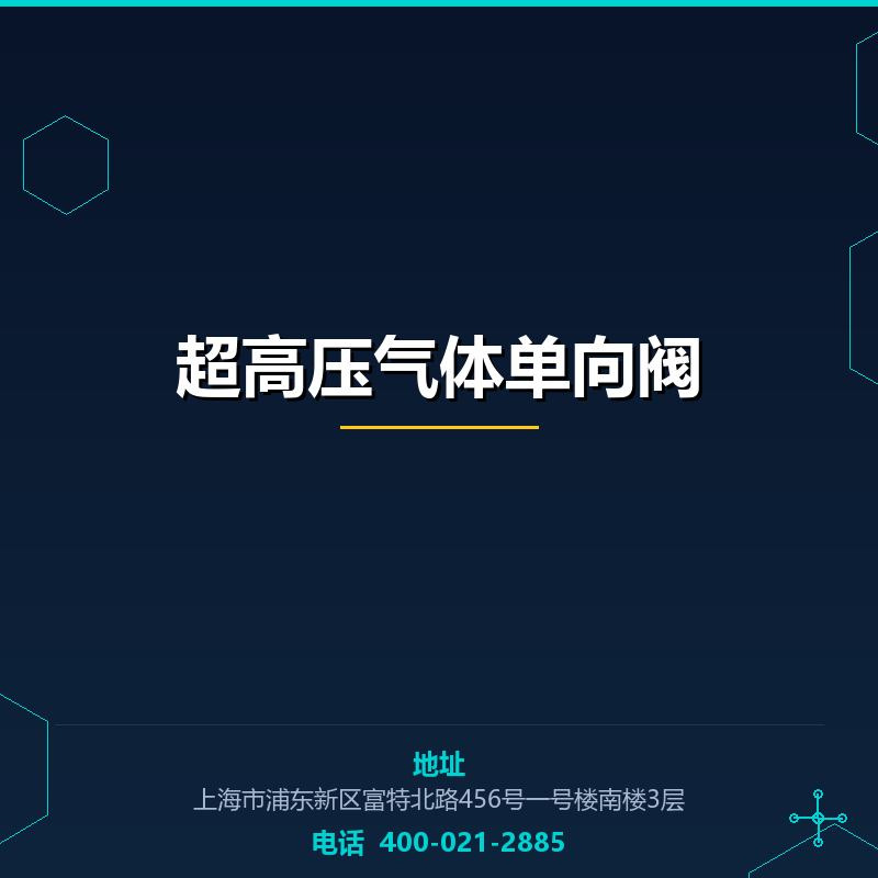 超高压气体单向阀 None