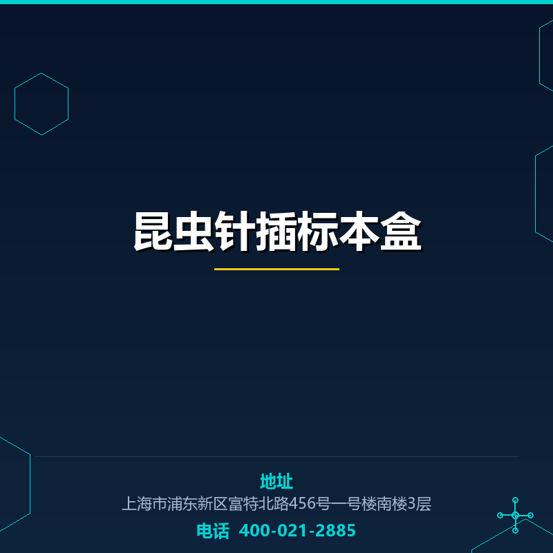 昆虫针插标本盒 None