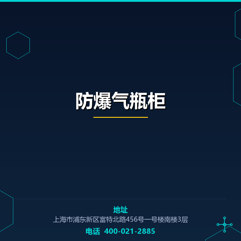 防爆气瓶柜 None