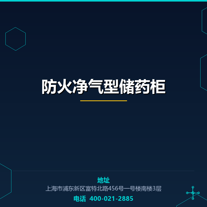 防火净气型储药柜 None