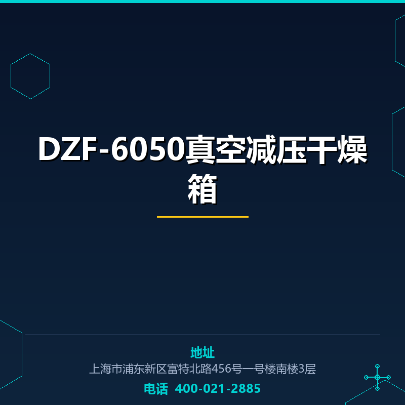 DZF-6050真空减压干燥箱 None