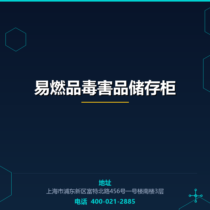 易燃品毒害品储存柜 None