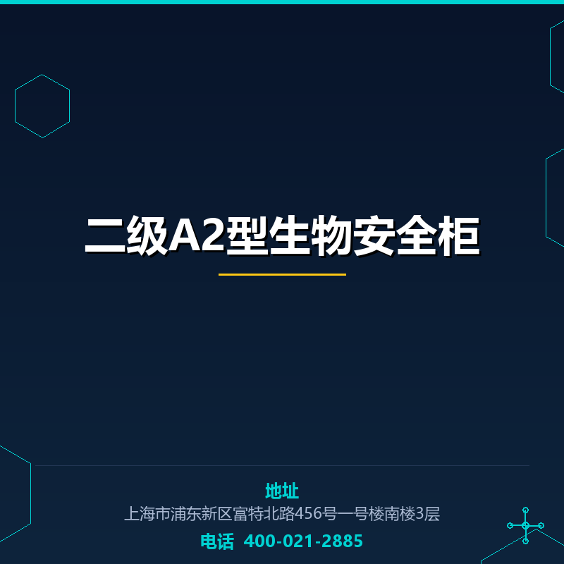 二级A2型生物安全柜 None