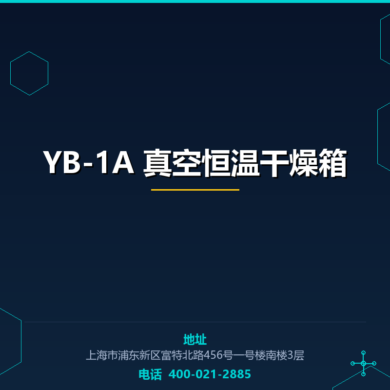 YB-1A 真空恒温干燥箱 None
