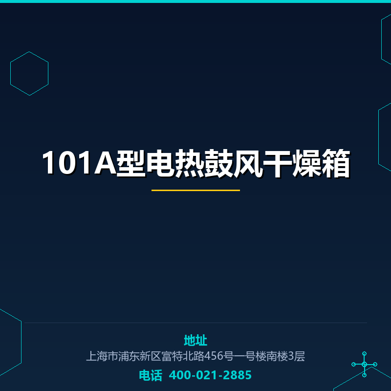101A型电热鼓风干燥箱 None