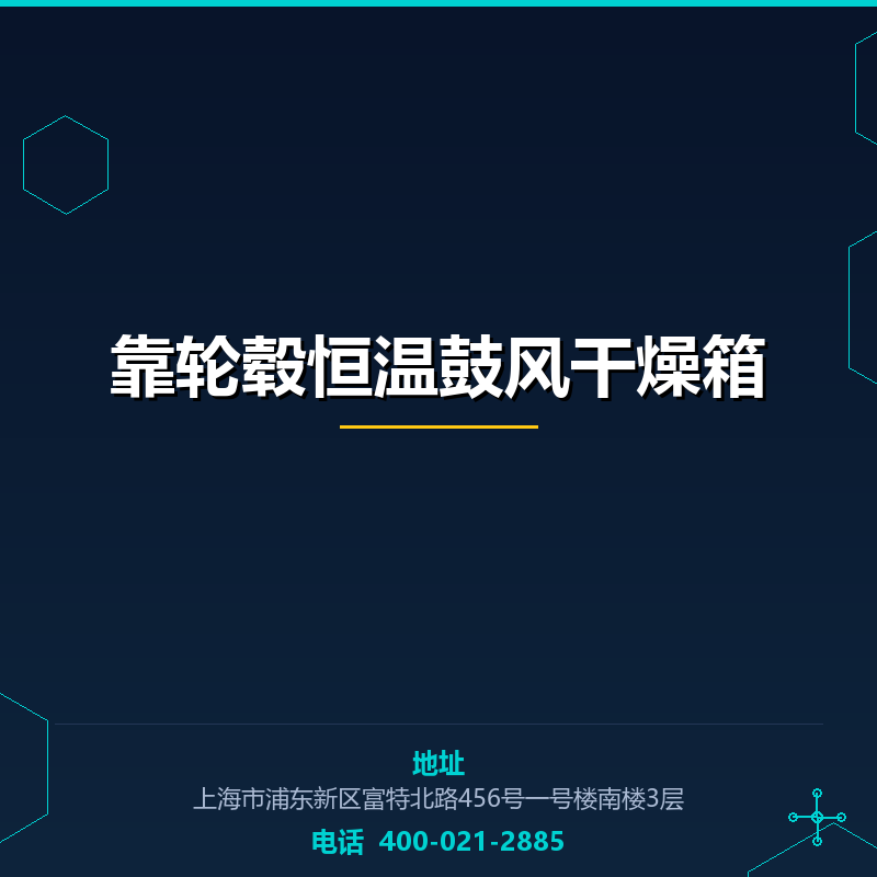 靠轮毂恒温鼓风干燥箱 None