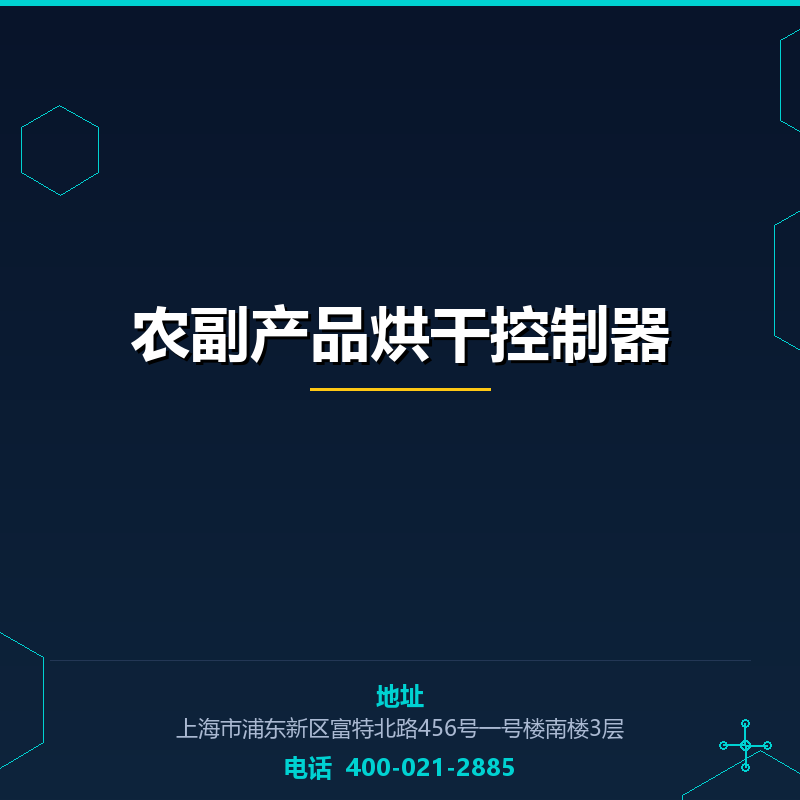 农副产品烘干控制器 None